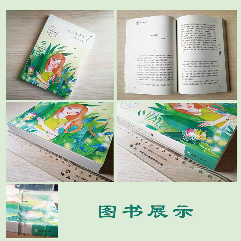 醉染图书捉迷藏的风9787537981163高清大图