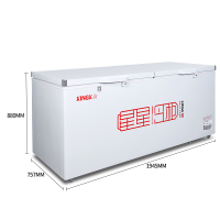 星星（XINGX)商用冰柜 BD/BC- 718G (SZK)