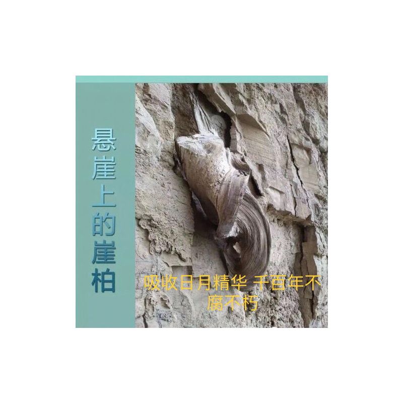 太行崖柏手捶按摩锤颈部腿部按摩器健身锤敲背锤拍打按摩经络保健