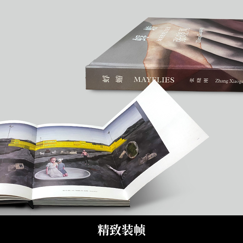 [正版]张晓刚:蜉蝣+美的沉思(套装2册)集中展示了张晓刚2019年到2023年间的创作 当代中国情境的体现 博集高清大图
