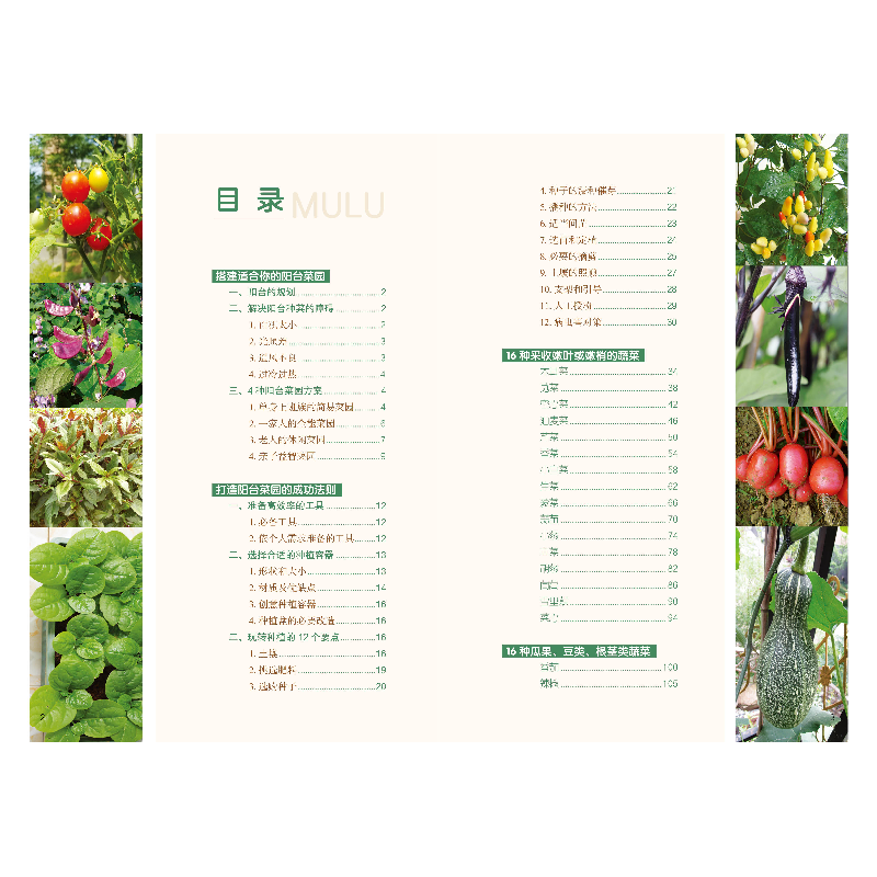 正版新书]零基础学阳台种菜 种植业 新华赵晶9787533563639高清大图