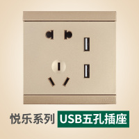 雷士照明NVC 86型带开关插座家用墙壁面板 二三插五孔墙壁电源插座开关电视电话网线插座面板香槟金