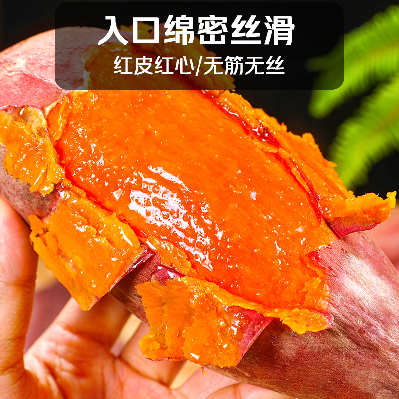 冠町 福建六鳌蜜薯红薯烤地瓜 净重5斤装中小果(约20-30个)新鲜烧烤蔬菜轻食