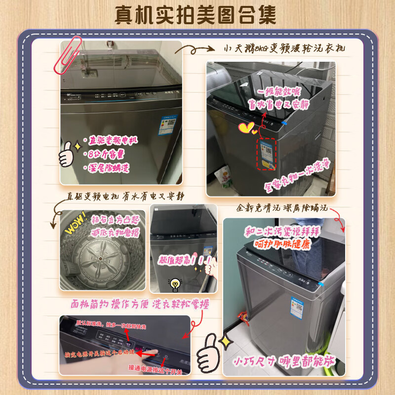 小天鹅8kg波轮洗衣机全自动TB80V23DB