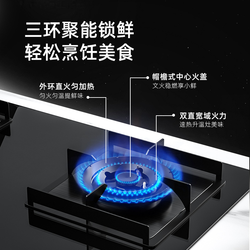 HOMSON法国汤姆逊家用台式嵌入式燃气灶具 5.2kW天然气大火力双眼灶 加厚钢化玻璃 一级能效 方灶圆灶 AZL2
