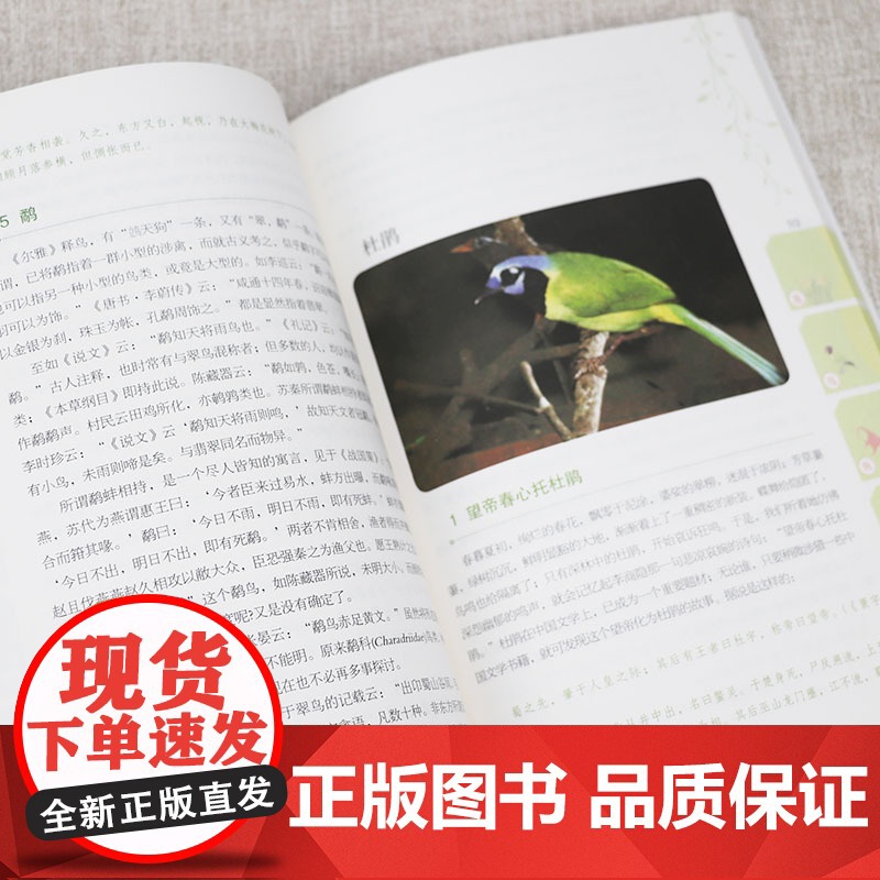 [3本49]花鸟鱼虫兽 贾祖璋科学小品菁华书籍高清大图