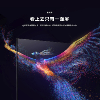 创维（SKYWORTH）75Q30 75英寸4K超高清超薄 防蓝光护眼全面屏 全时AI人工智能语音大屏电视