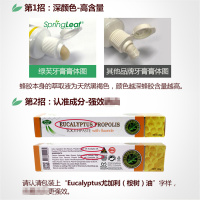 [4支装]官方授权 澳洲Spring Leaf绿芙尤加利黑蜂胶牙膏120g 薄荷味