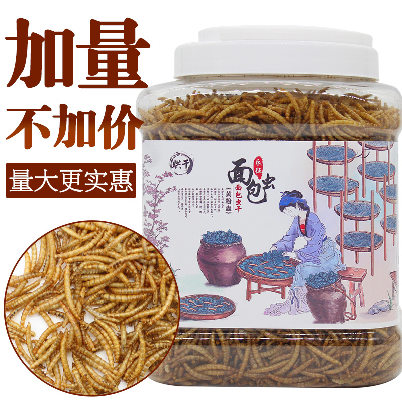 龙鱼饲料金龙银龙鱼专用鱼食罗汉鱼鱼粮面包虫大麦虫地图锦鲤饲料高清大图