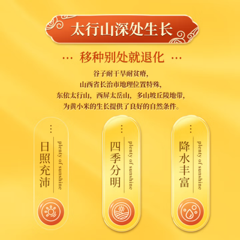 十月稻田山西黄小米2.5kg 五谷杂粮 粗粮 早餐小米粥高清大图