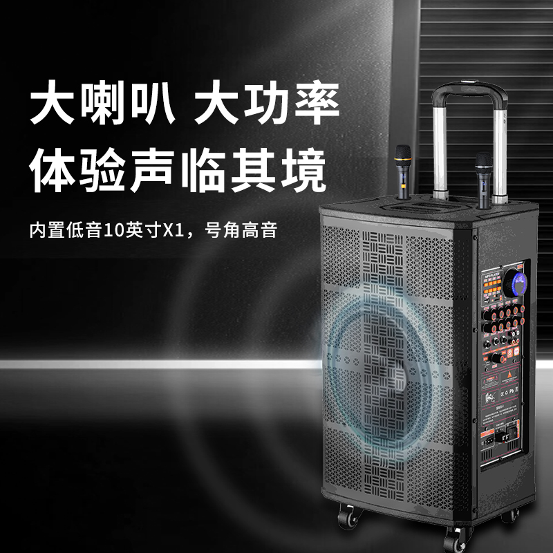 润普Runpu会议音频扩声两分频10英寸低音卡拉OK户外演出活动野外作训带话筒拉杆音箱RP-S-LGF10高清大图