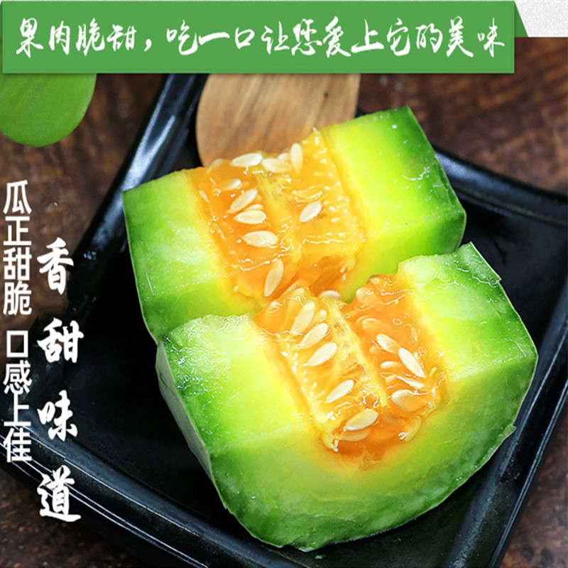 [鲜贝达]山东潍坊羊角蜜 甜瓜 博洋61甜瓜5斤装高清大图