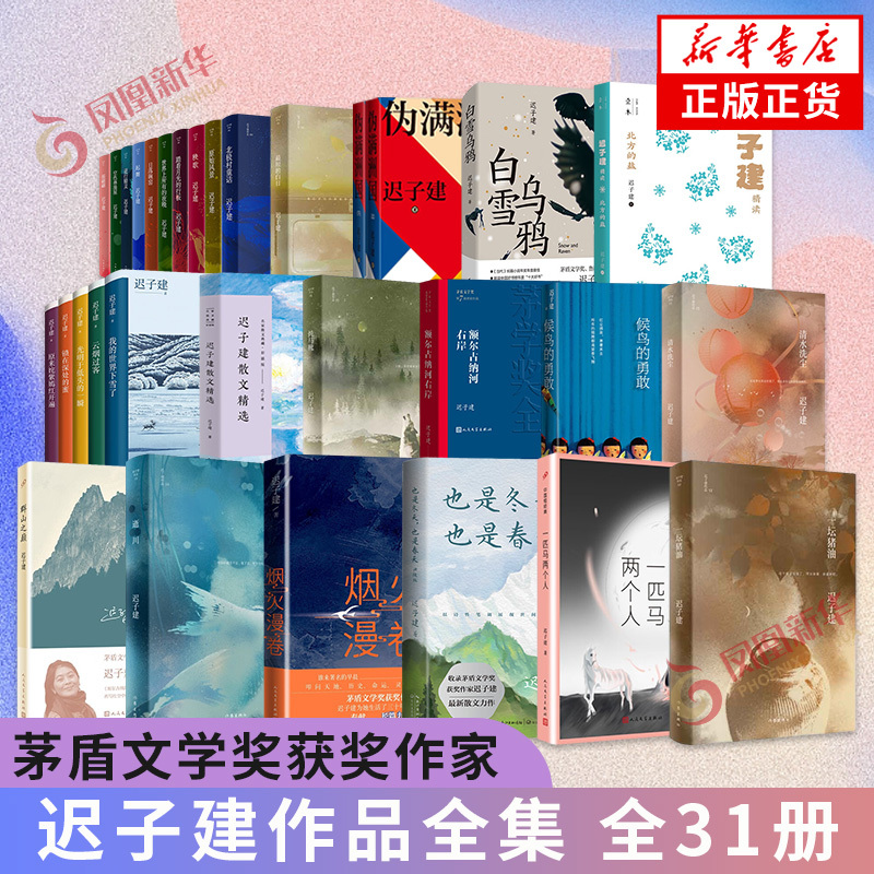 迟子建作品集全32册 [正版]单本套装任选 迟子建作品全集散文小说合集精选额尔古纳河右岸北极村童话伪满洲国也是冬天也是春