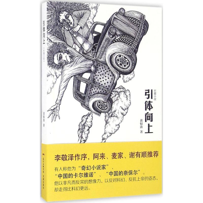 正版新书】引体向上黄惊涛 著9787536080409