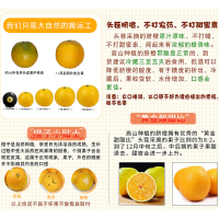 [一贤生鲜]新鲜赣南脐橙 净重9斤 小果 单果60-70mm 个头均匀 饱满多汁 新鲜水果 西沛