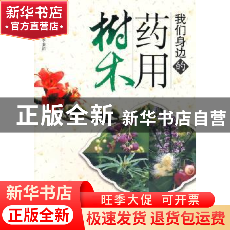 正版 我们身边的药用树木 陈策主编 广东科技出版社 978753595285