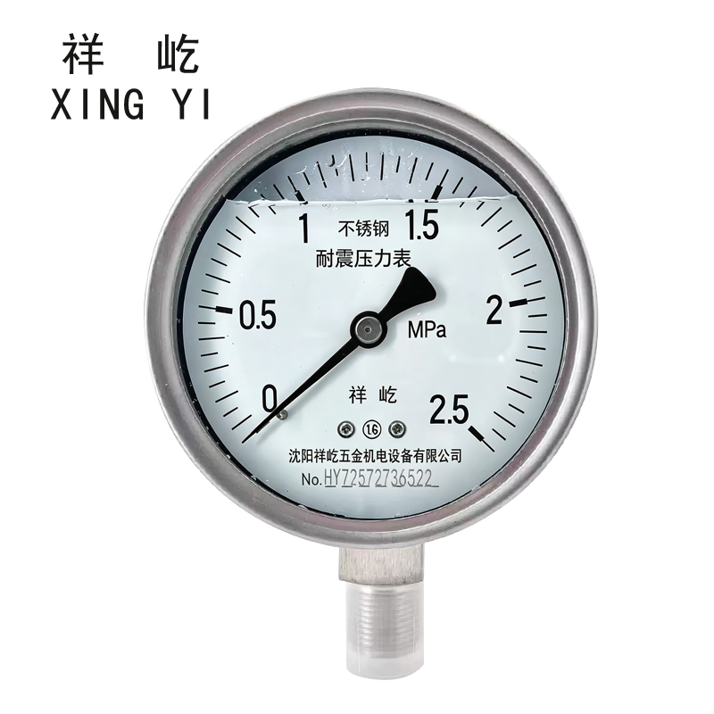祥屹 不锈钢耐震压力表 YTN100BF 0-2.5Mpa 块高清大图