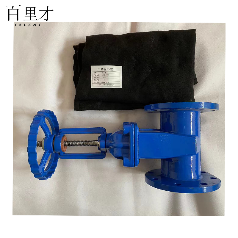 百里才 法兰闸阀 DN100个高清大图