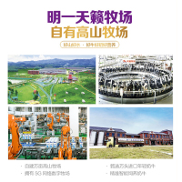 明一(wissun)[新国标]优煦1段 婴幼儿配方牛奶粉 适合0-6个月 罐装800g