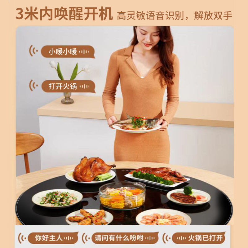 先科暖菜板加热饭菜保温板多功能餐桌垫电动旋转热菜神器[白色120电磁炉款+火锅+电动旋转(金属包边)]无语音功能高清大图
