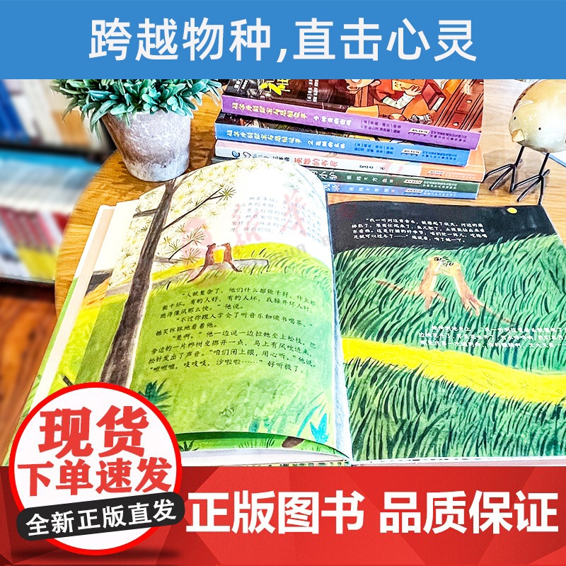 非常动物故事绘本·黄鼬一家 张炜 文 李尧 图 儿童文学 2022暑假读一本好书精选 中小学生课外阅读书籍 安徽少年儿童高清大图