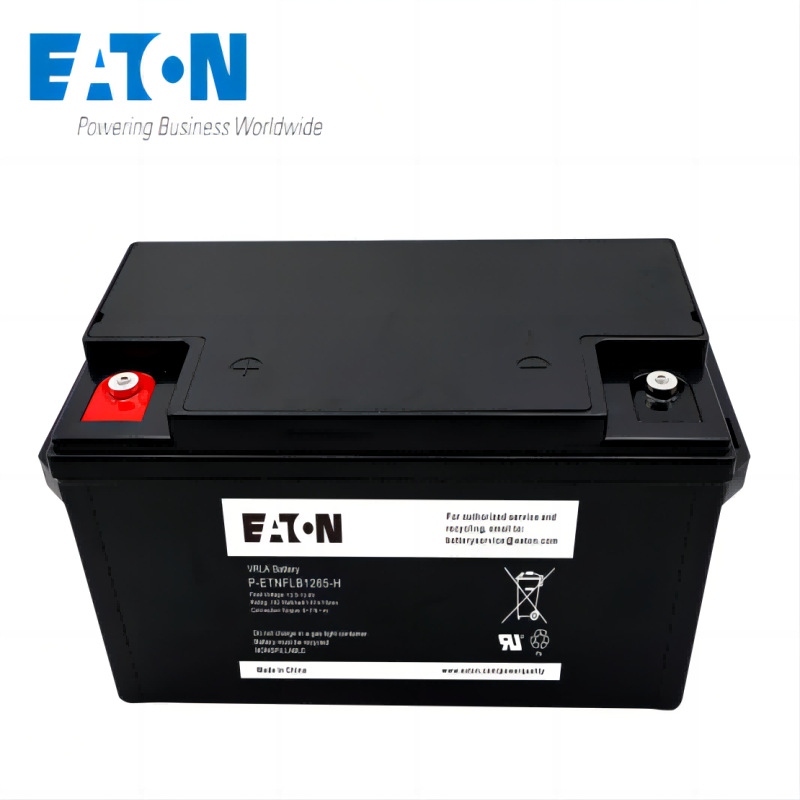 伊顿蓄电池 P-ETNFLB1265-H高清大图