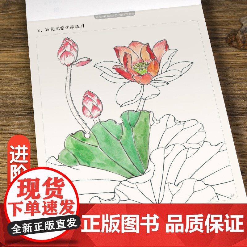 中国画白描入门描摹本 工笔画白描线稿底稿描红临摹手绘练习册 花卉山水动物人物国画初学入门毛笔绘画教材高清大图