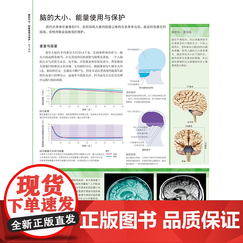 DK大脑百科 关于大脑解剖结构 功能和疾病的图解指南 科普百科 健康生活 北京科学技术出版社高清大图