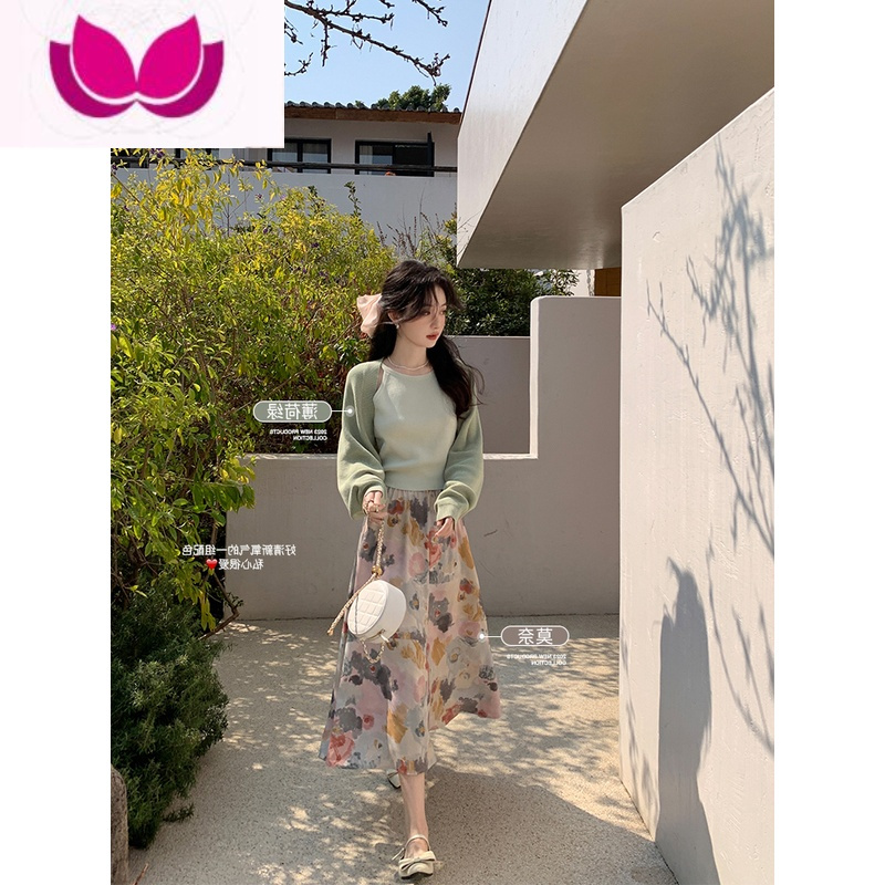 七斓花栗鼠小姐 百香双重奏 坎肩背心半裙套装裙女春小个子高级感