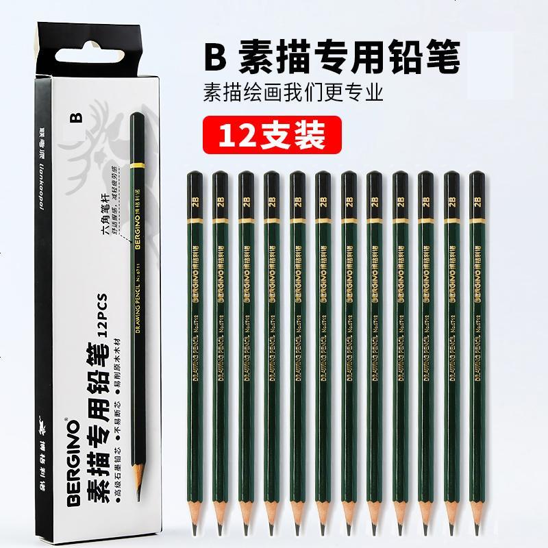 素描铅笔套装12支美术素描写生2比4B绘画初学者速写写生专业炭笔软中硬性炭笔学生书写考试涂卡铅笔 绿杆B 12支/盒