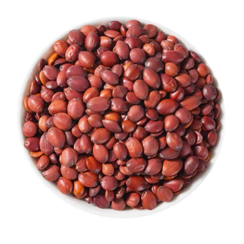 甄选酸枣仁100克干货煮水泡酸枣山枣枣仁无硫另售黄芪9260高清大图