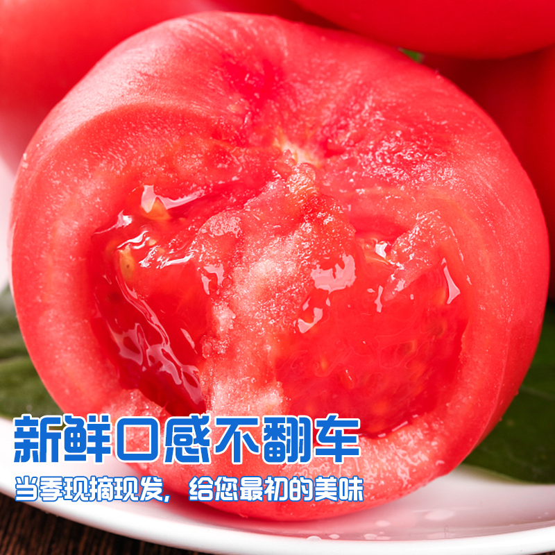 冠町 新疆沙瓤西红柿净重约5斤礼盒装单果重量170-230g(12个)新鲜水果生鲜高清大图