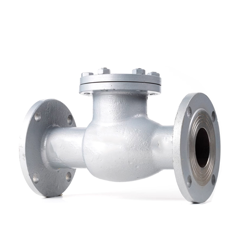 兴酉 铸钢法兰止回阀 DN150 个高清大图