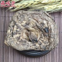 藏曦堂虎掌菌 干虎掌菌 獐子菌 西藏虎掌菌 野生虎掌菌 干獐子菌 虎掌菌（獐子菌）100克*1袋