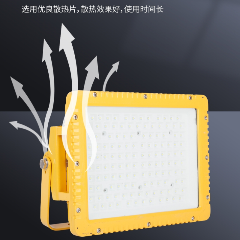 RDZM 防爆灯250W HRD97 LED三防投光灯高清大图