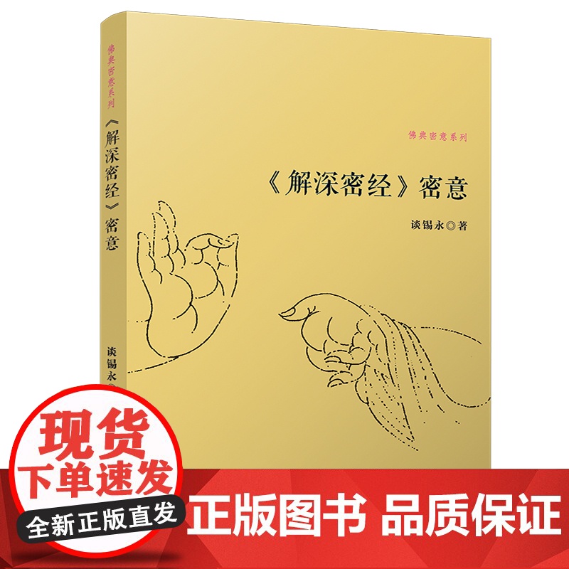 《解深密经》密意 谈锡永 复旦大学出版社 正版书籍高清大图