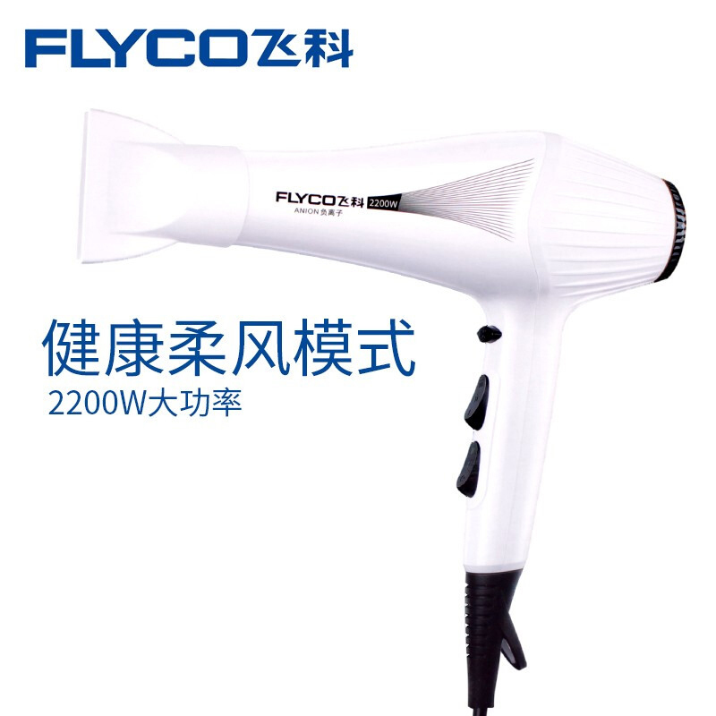 飞科 FH6102 电吹风