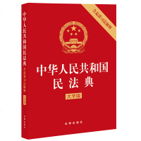 民法典2021年版正版新版 中华人民和国民法典 含司法解释 大字版 法律出版社 9787519753092
