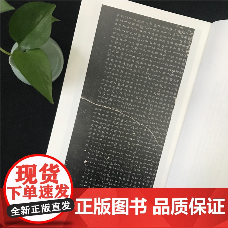 中国碑帖名品17·曹全碑 释文注释繁体旁注汉碑汉隶书毛笔书法高清字帖原碑帖临摹帖练习古帖书籍曹景完碑 上海书画出版社高清大图
