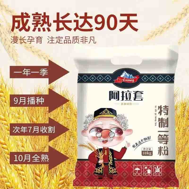 阿拉套新疆面粉特制一等粉10kg