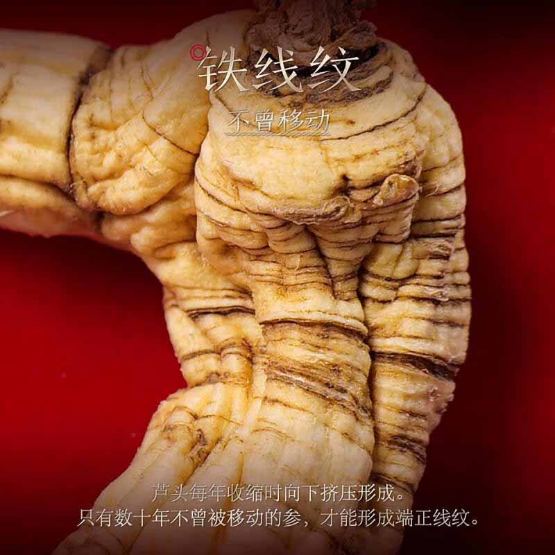 长白山人参林下参礼盒约40-45年干货礼盒大补元气林下参15-20g*1盒高清大图