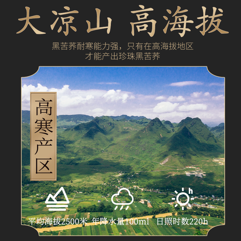 北京同仁堂黑苦荞茶250g/罐共全胚芽大颗粒 精选花草茶叶泡水代用茶保健茶饮