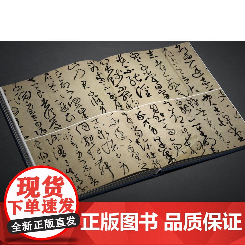 风华正茂 全国中青年书法名家十一人作品集第二辑 王健秋主编上海书画出版社高清大图