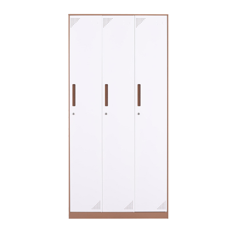 臻远 ZY-GYGC-8拆装更衣柜窄边储物柜 咖白套色三门高清大图
