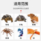 爬虫加热垫爬宠乌龟蜥蜴守宫蛇温控刺猬仓鼠宠物加热片加温保温片