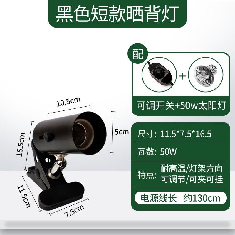 乌龟陶瓷加热灯泡温控保温加温取暖爬虫宠龟红外乌龟晒背灯图片