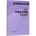 中国电力供需分析报告.2017