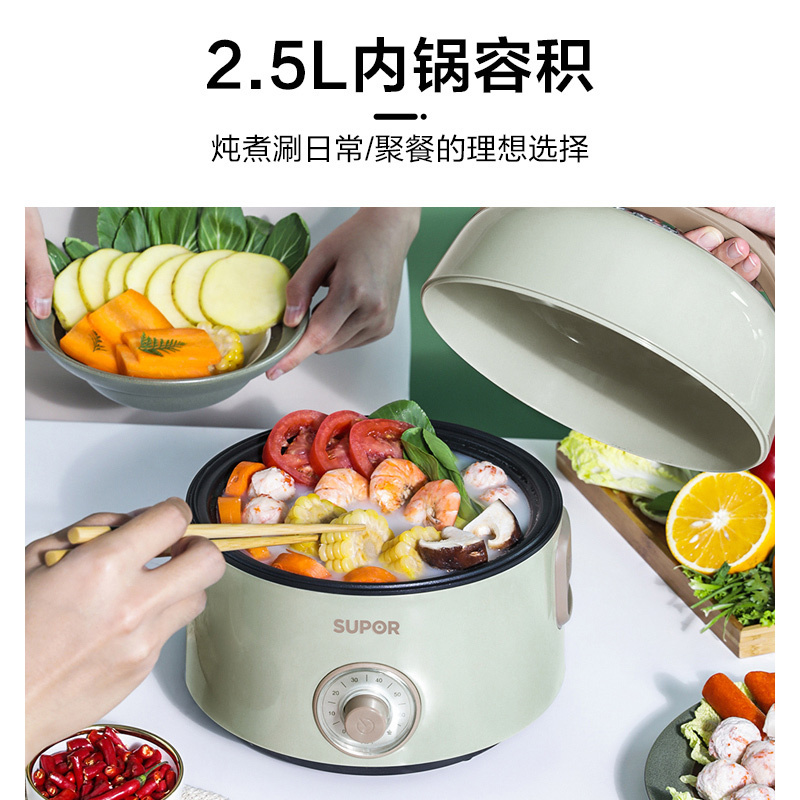 苏泊尔(SUPOR)电蒸锅多功能家用电火锅 蒸包子锅 电煮锅电热锅双层6.5L大容量可拆洗 过热保护 ZN22YC813