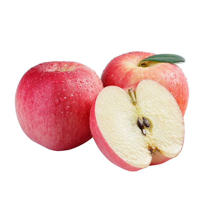 洛川苹果 新鲜水果陕西洛川嘎啦苹果礼盒 12枚75mm 水果礼盒2023新果