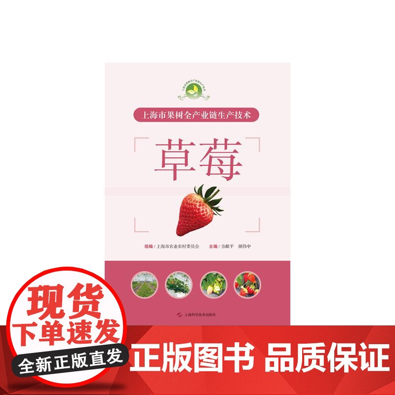 上海市果树全产业链生产技术:草莓 上海科学技术出版社高清大图